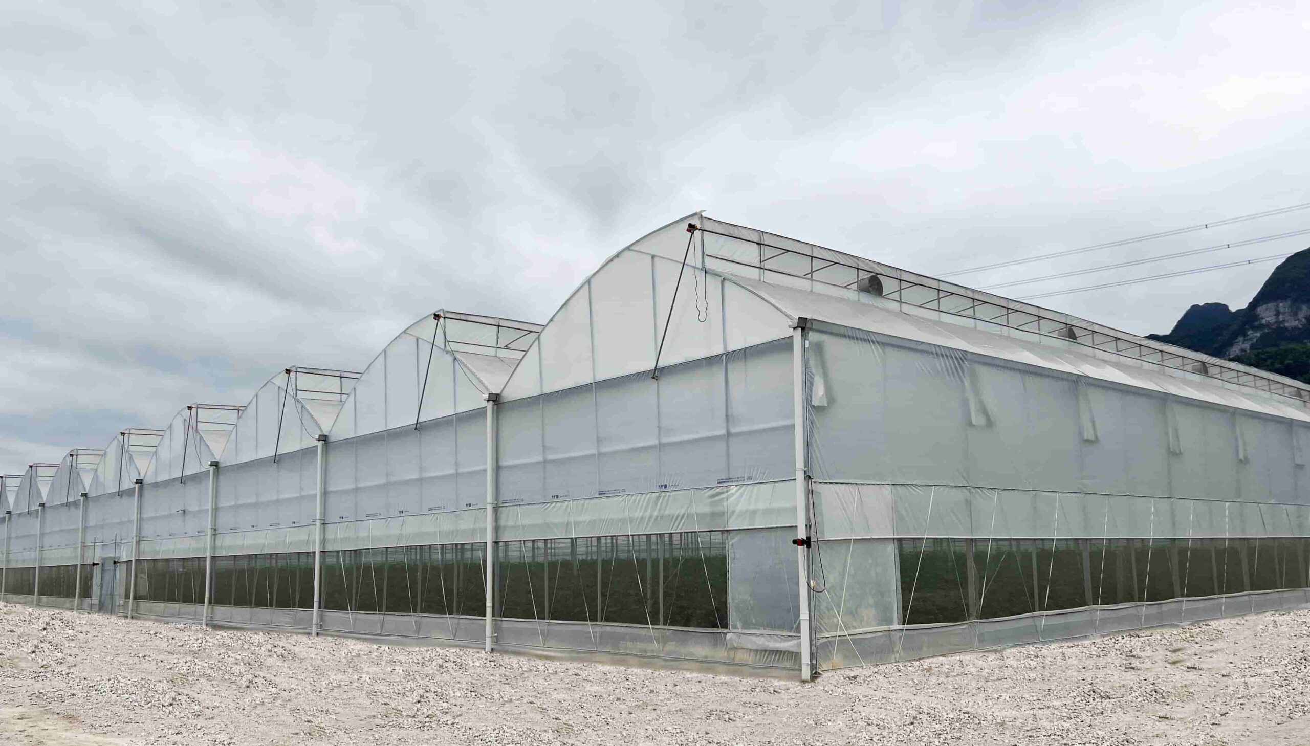 A graphic illustrating the different profiles of Venlo, Sawtooth, and Dome greenhouse roofs