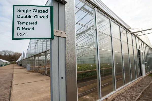Graph comparing initial cost vs. long-term value of different glazing