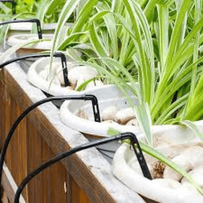 fertigation ROI calculation fertilizer savings