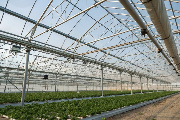 Freestanding greenhouse structural diagram