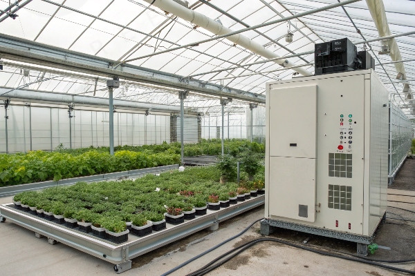 Dehumidification system in medical plant greenhouse