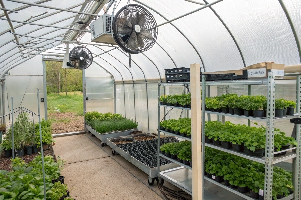 Freestanding greenhouse with various crops