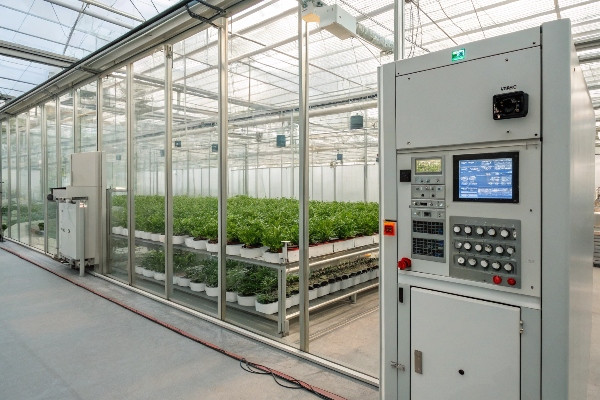Medicinal plant greenhouse automation systems