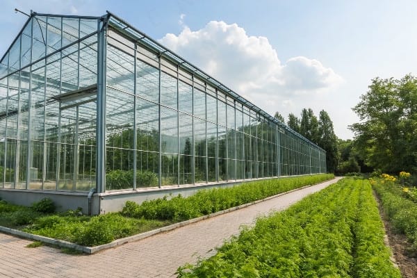 cost-benefit analysis of glass thickness