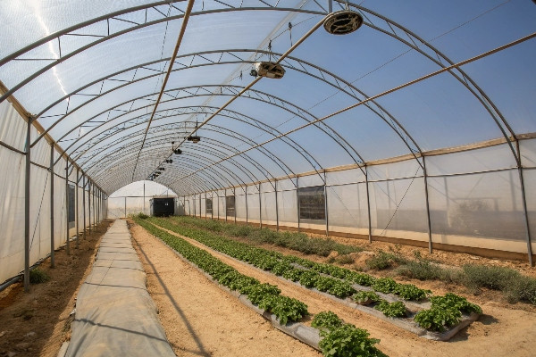 High tunnel greenhouse design for hot climate