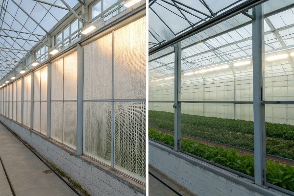 Light transmission comparison greenhouse glass vs polycarbonate real world performance