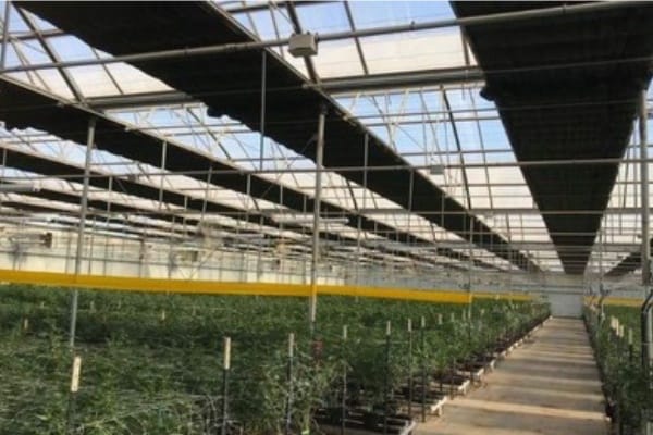 Greenhouse ventilation and shading design principles