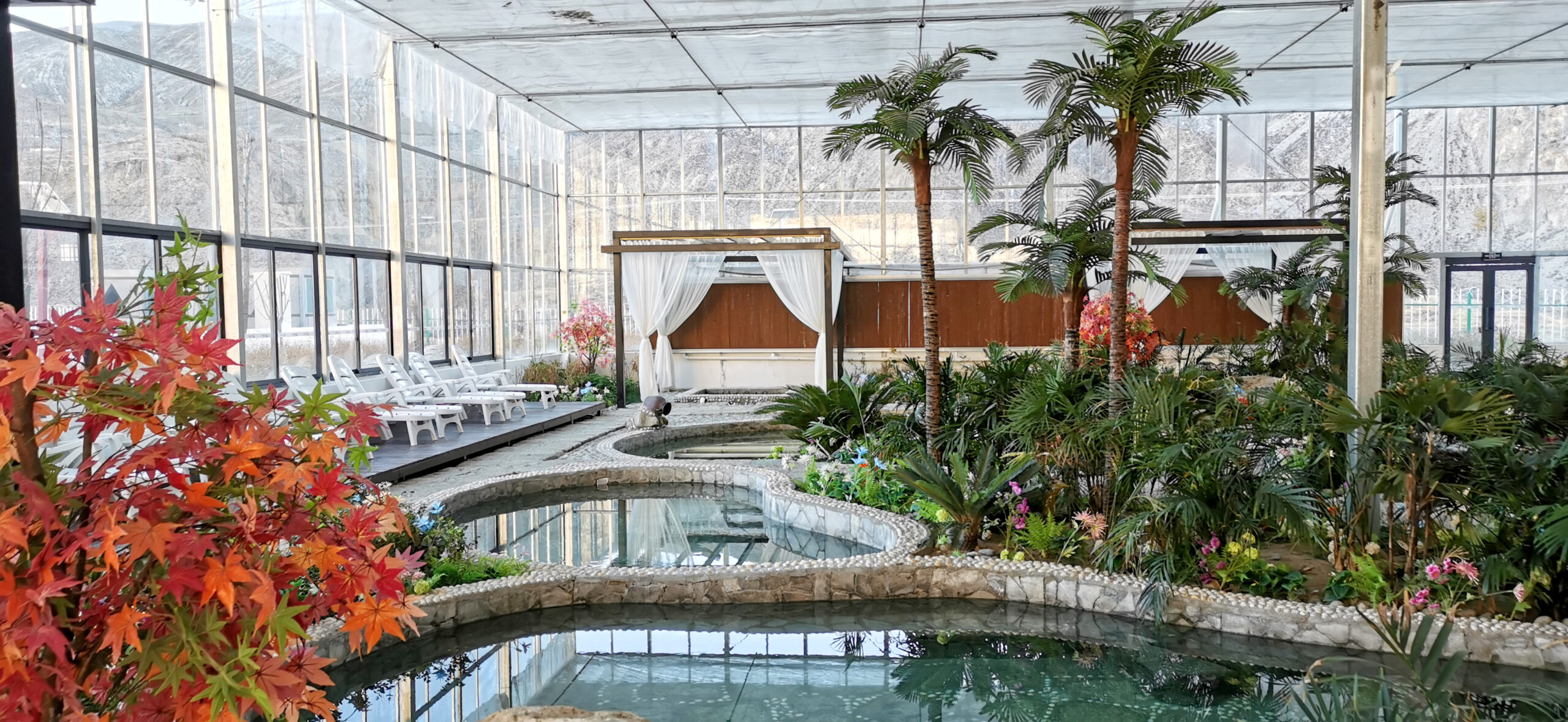 Greenhouse structural features comparison