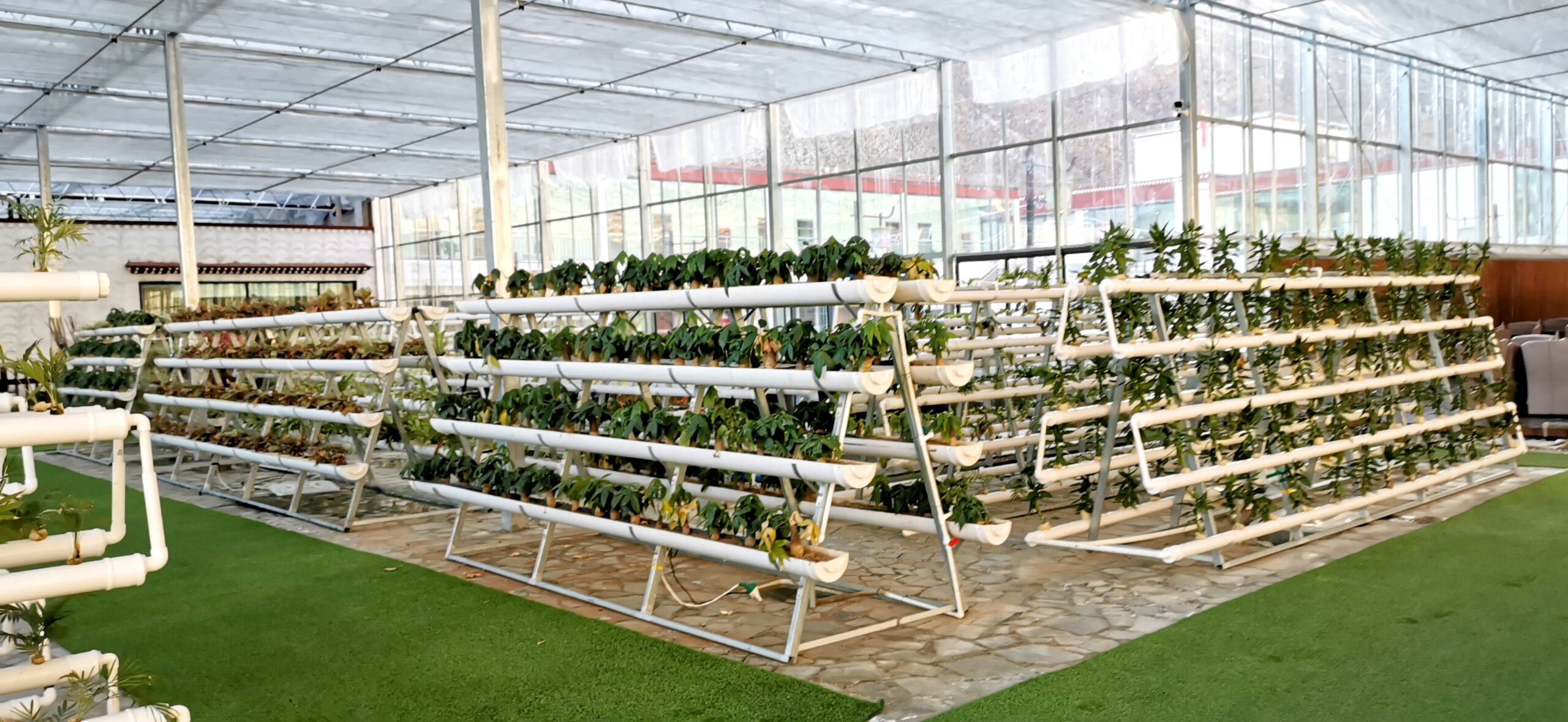 Modern greenhouse technology integration