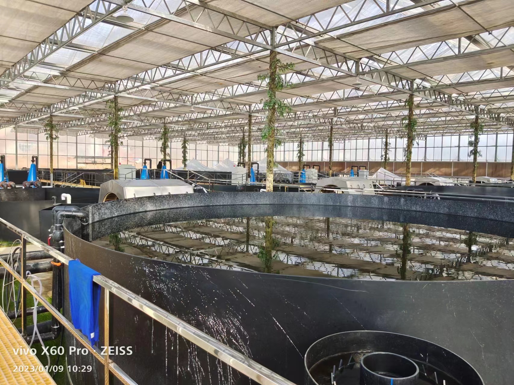 Greenhouse roof design comparison