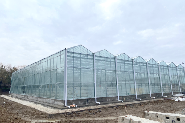 Modern greenhouse with solar panels on the roof