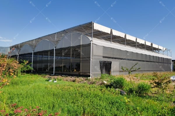 greenhouse types for commercial markets greenhouse types for different vegetable markets