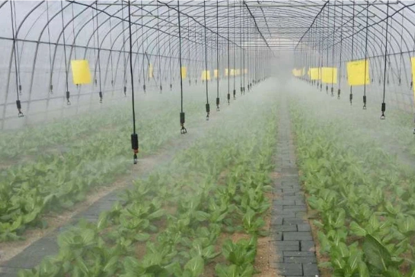 drip irrigation system greenhouse