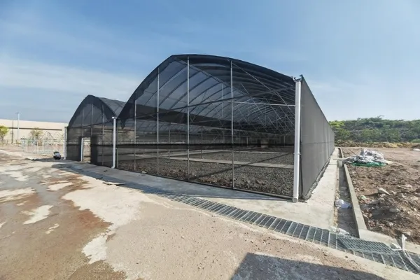 Automated external shading screens extending over a greenhouse roof in bright sunlight