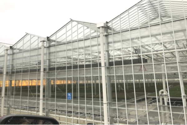 Vegetable greenhouse vs floriculture greenhouse