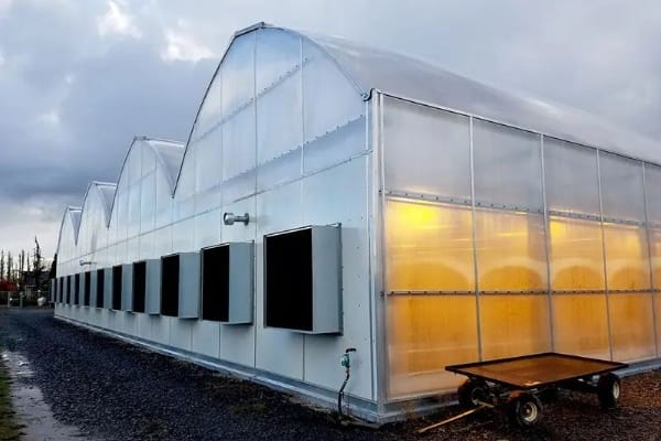 Best crops for light dep and indoor farming Crop selection for controlled environment agriculture