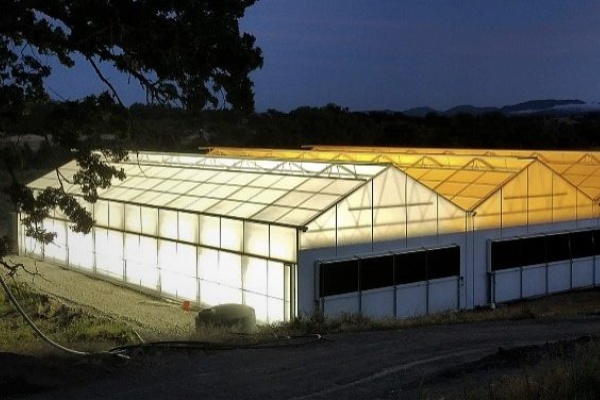 Cost comparison between light dep greenhouse and indoor farm setup