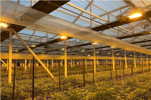 A person in a clean suit working in a sterile indoor farm environment