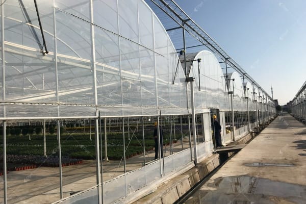 extreme heat greenhouse design limits