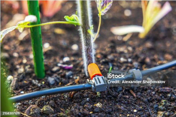micro sprinkler system installation