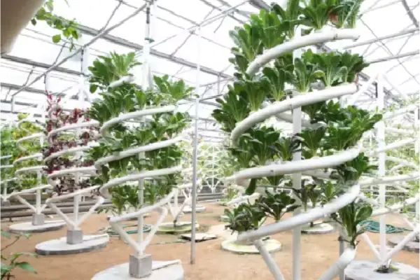 greenhouse types for hydroponic vegetables greenhouse types for hydroponic vegetable production