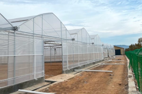 Commercial greenhouse types comparison
