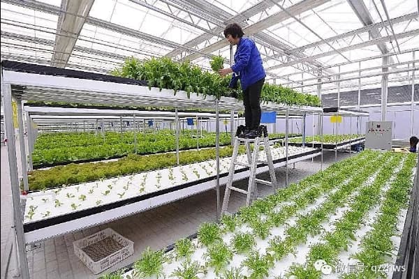 greenhouse selection decision process greenhouse selection decision process