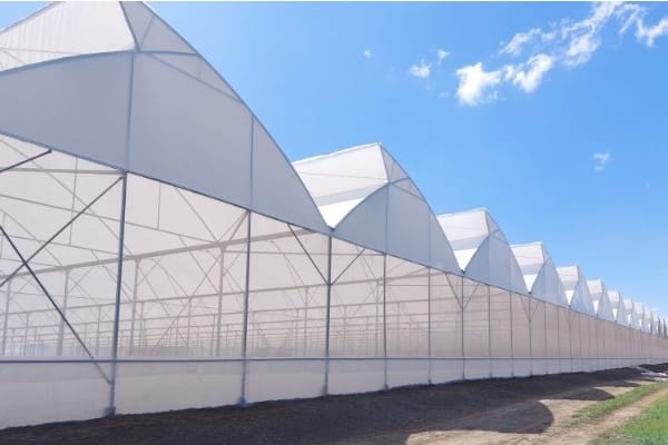 Budget and climate considerations