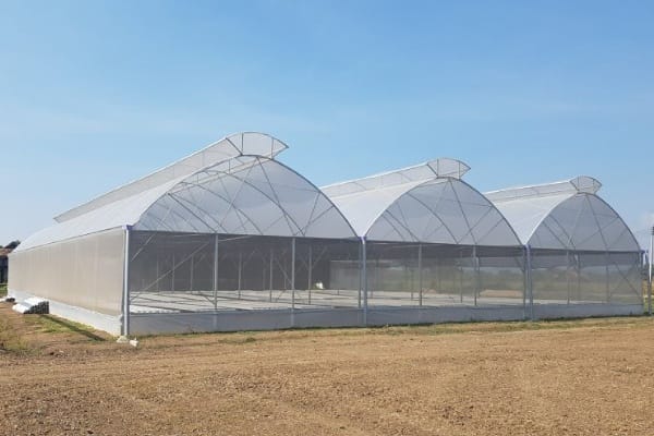 Crop-specific greenhouse requirements