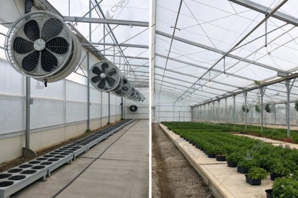 Common fan pad installation mistakes greenhouse cooling