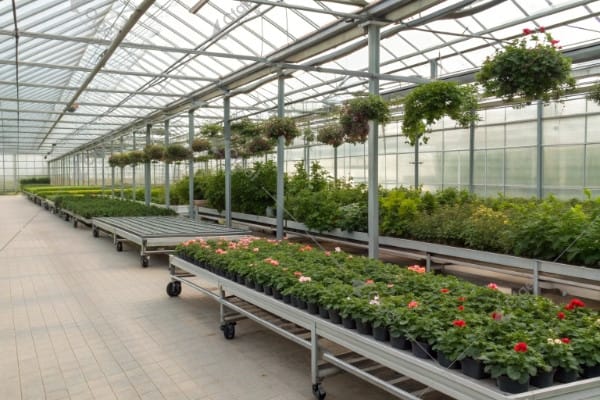 High Performance Rolling Bench Design Features Rolling bench design features