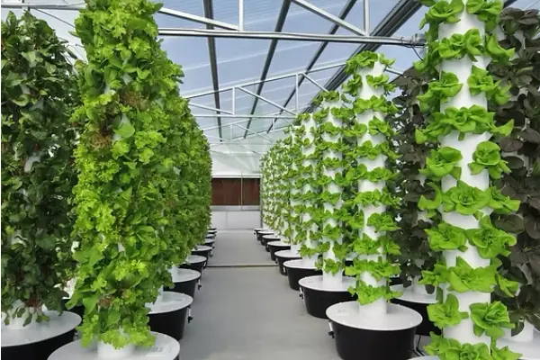 types of greenhouses for commercial vegetables types of greenhouses for commercial vegetables