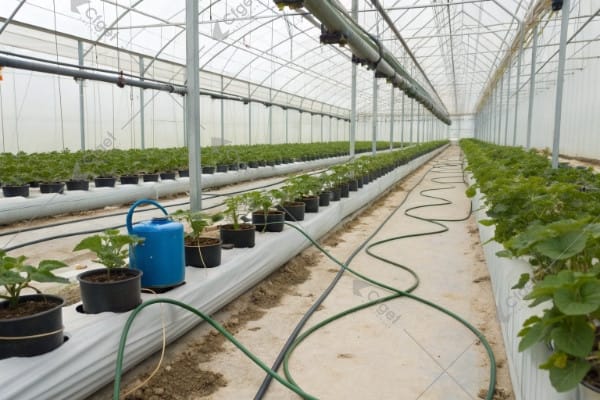 fertigation nutrient injection process diagram