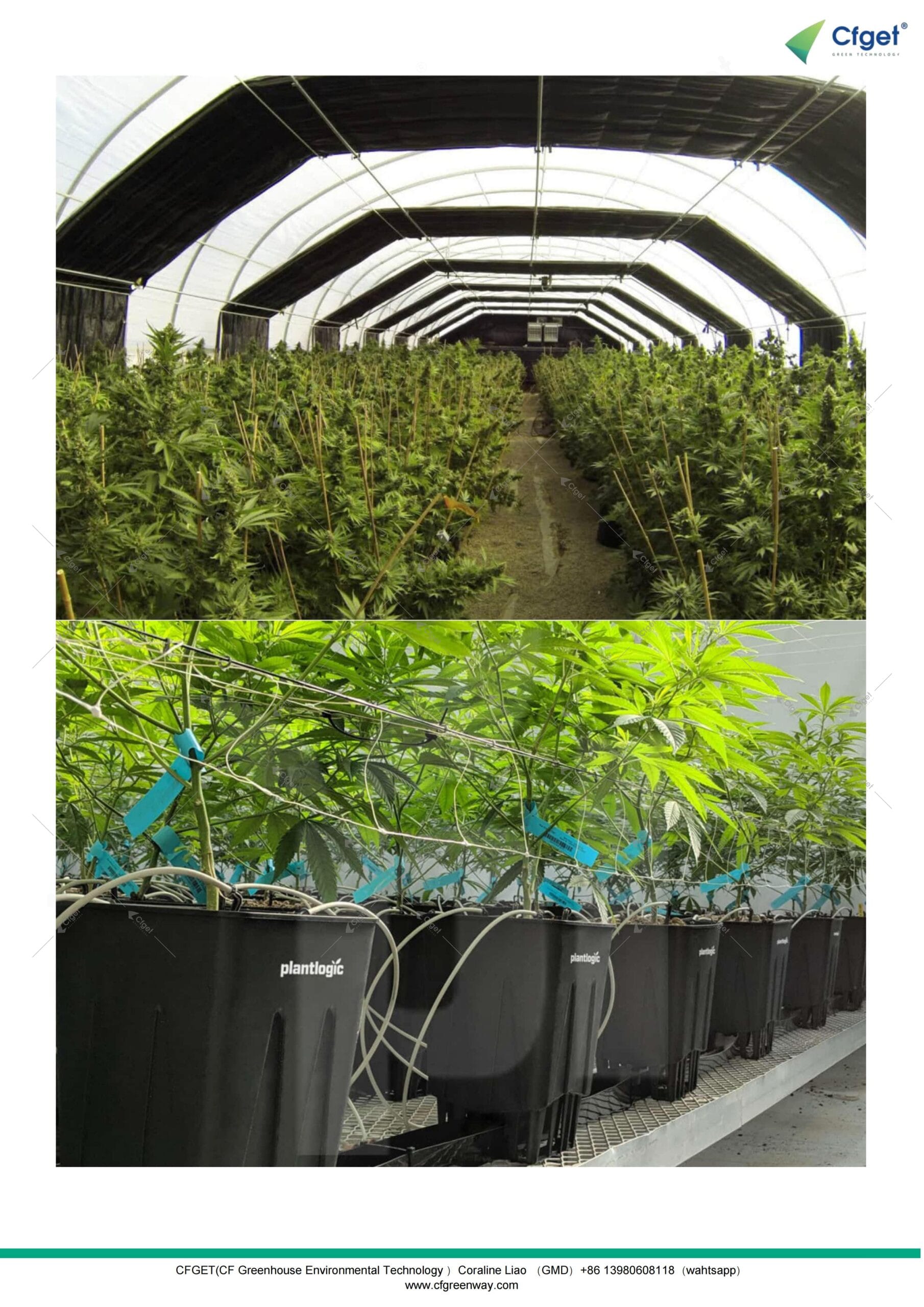 Financial analysis chart showing ROI for specialty crop production