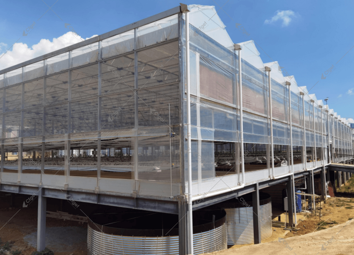 Large scale government greenhouse project