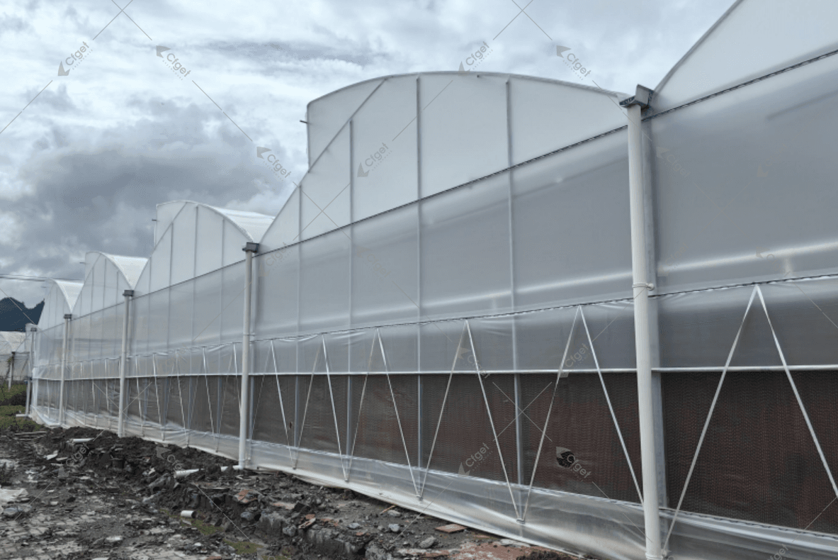 Sawtooth roof greenhouse ventilation system Sawtooth greenhouse natural ventilation design