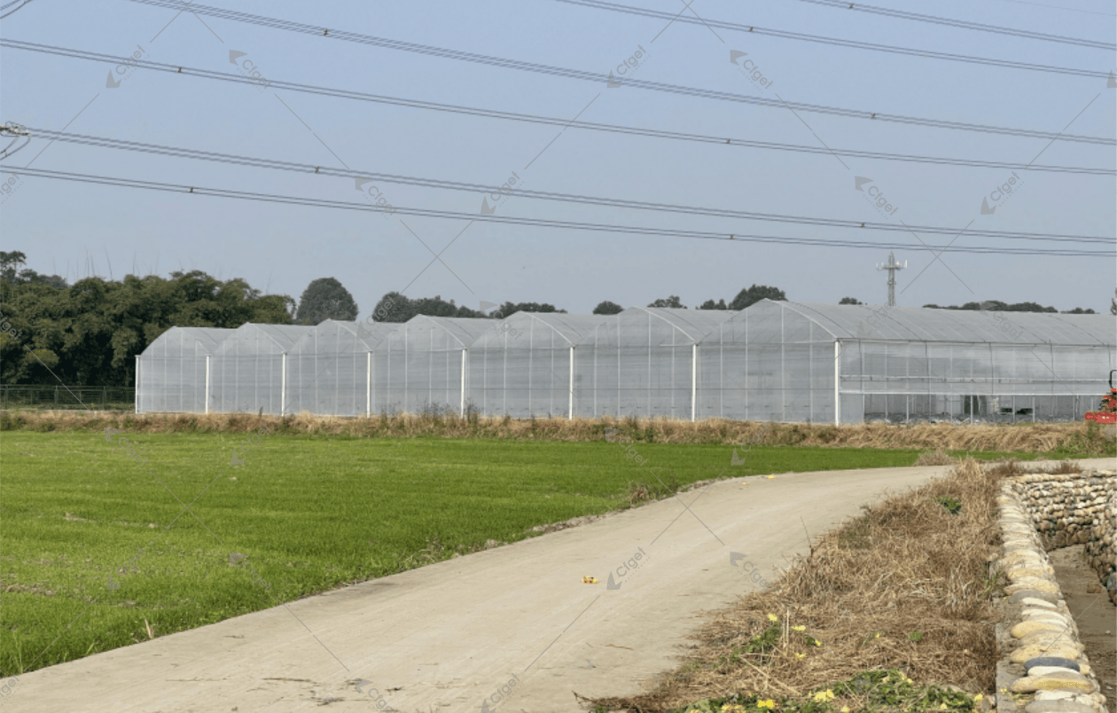 Light Transmission Comparison Materials