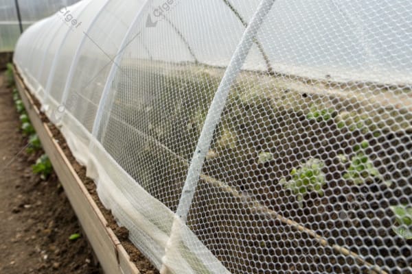 Insect screen installation for greenhouse pest control Insect Screen on Greenhouse Vent