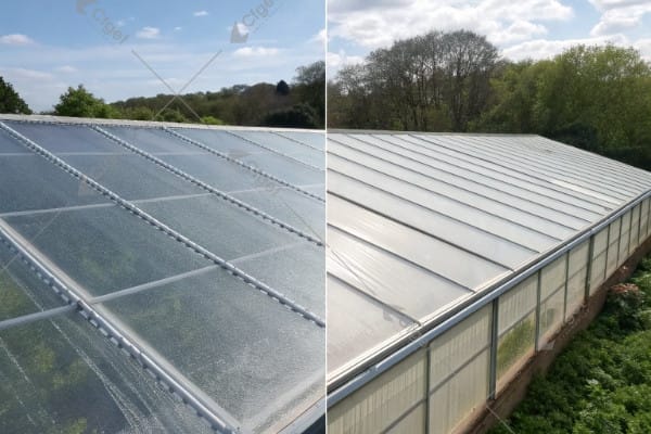F-Clean Film vs Polycarbonate Greenhouse