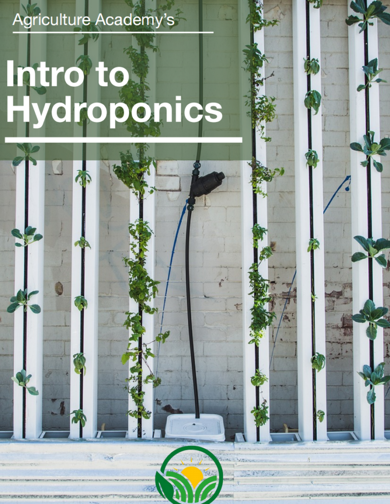 Agriculture Academy's Intro to Hydroponics