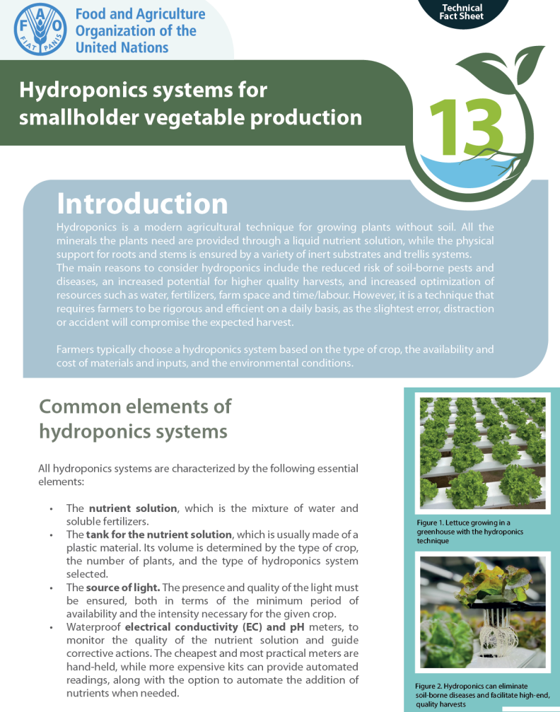 Hydroponics systems forsmallholder vegetable production