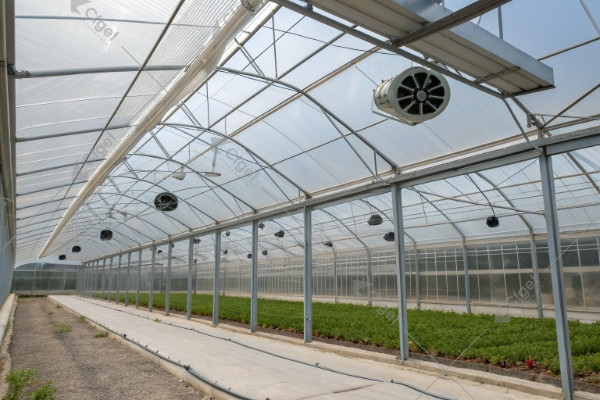 Almería tomato greenhouse ventilation shading Almería tomato greenhouse ventilation shading