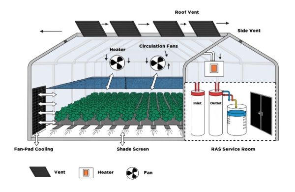 Aquaponics greenhouse cross-section with ventilation, shade screen, fan-pad cooling, and circulation airflow aquaponics greenhouse climate control cross section