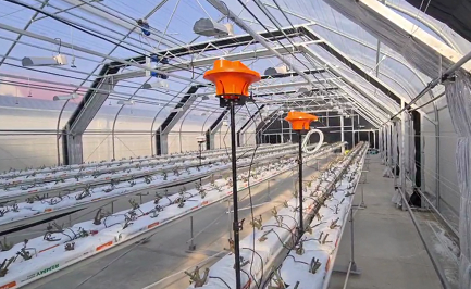 Warm climate greenhouse planning