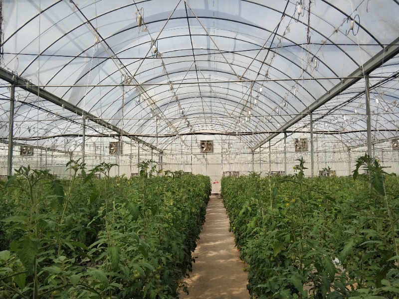 A practical RFQ should make structure, covering, systems, logistics, and after sales support visible before price is compared. greenhouse project planning image for greenhouse irrigation zone design detail