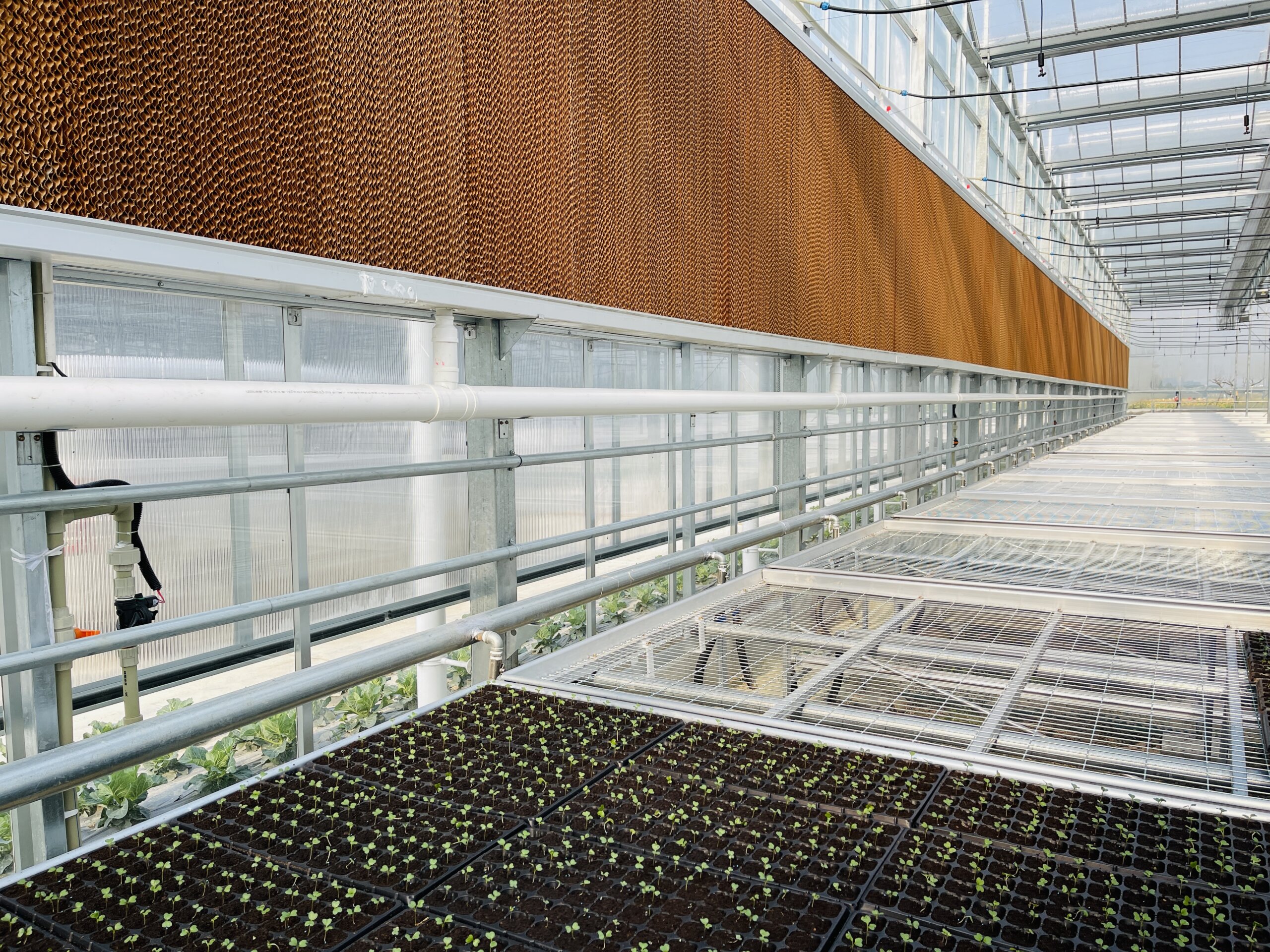 Climate planning should connect the greenhouse envelope with ventilation, shading, heating, and crop targets. greenhouse climate design planning image for commercial greenhouse for cold climates detail