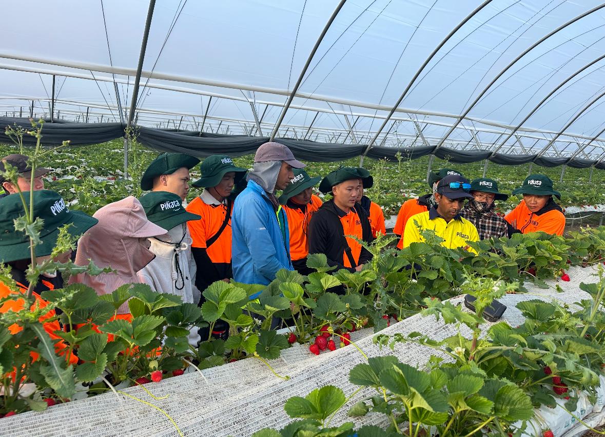 A practical RFQ should make structure, covering, systems, logistics, and after sales support visible before price is compared. greenhouse project planning image for greenhouse recirculation water disinfection detail