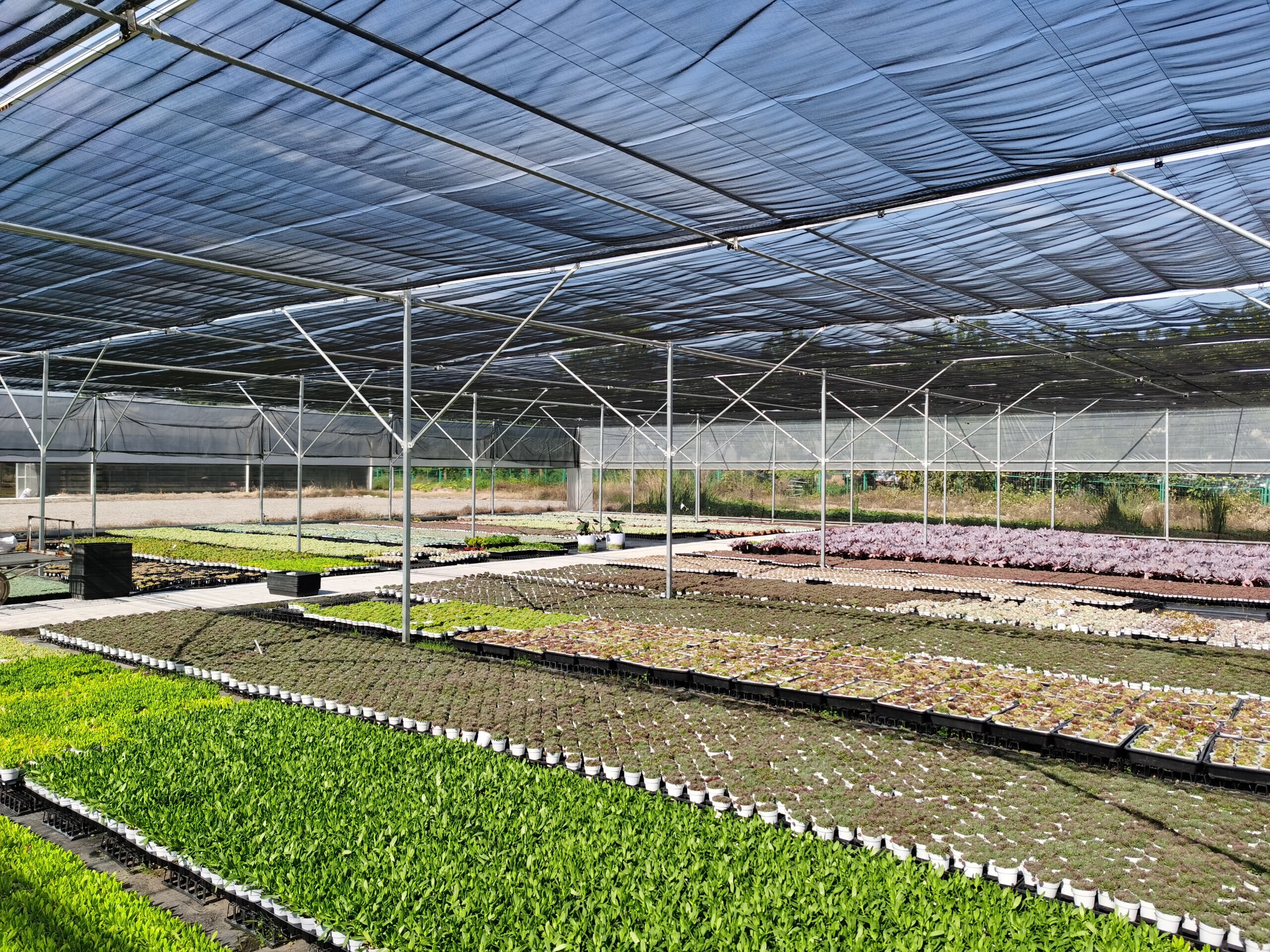 Giải pháp nhà kính và hệ thống đi kèm