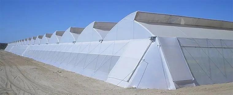 Serre tunnel agricole