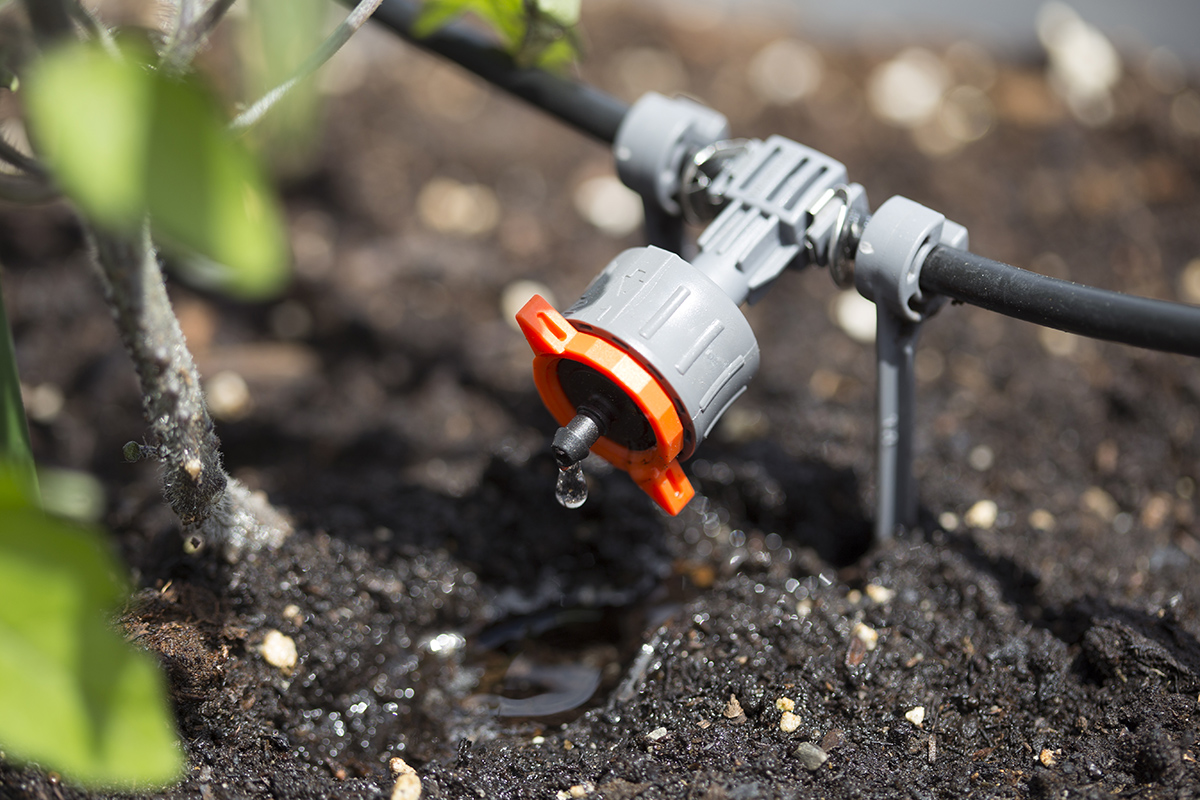Close view of a drip emitter delivering water at the plant root zone